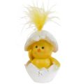 Floristik24 Csirke sárga tojásban 8cm - 12cm 4db