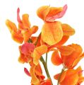 Floristik24 Mesterséges orchidea Mokara Orange 50cm 6db