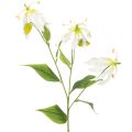 Floristik24 Művirág Gloriosa, fehér és sárga, elegáns virágág dekorációhoz, 80 cm, 3 darab
