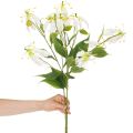 Művirág Gloriosa, fehér és sárga, elegáns virágág dekorációhoz, 80 cm, 3 darab | Floristik24.hu
