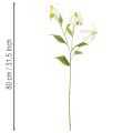 Művirág Gloriosa, fehér és sárga, elegáns virágág dekorációhoz, 80 cm, 3 darab | Floristik24.hu