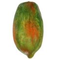 Floristik24 Mesterséges papaya 13cm és 14cm sárga, zöld 2db