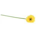 Floristik24 Művirág gerbera napsárga 47cm