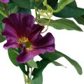 Floristik24 Műkerti virágok Petunia Purple 85cm