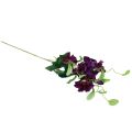 Floristik24 Műkerti virágok Petunia Purple 85cm