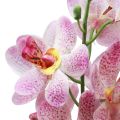 Floristik24 Mesterséges orchidea rózsaszín fehér művirág orchidea 73cm