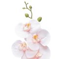 Floristik24 Mesterséges Orchidea Pink Phalaenopsis Real Touch 83cm