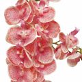 Floristik24 Mesterséges orchideák deco művirág orchidea rózsaszín 71cm