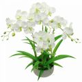 Floristik24 Mesterséges orchidea művirág fehér cserépben 60cm