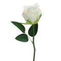 Műrózsa csokorban fehér 30cm 8 db | Floristik24.hu