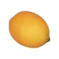 Floristik24 Mesterséges citrom dekoratív élelmiszer-baba narancs 8,5 cm