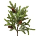 Floristik24 Műfenyőág igazi tobozokkal Karácsonyfa ág 78cm
