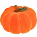 Floristik24 Sütőtök deco narancssárga nagy Flocked őszi dekoráció Ø30cm