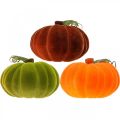 Floristik24 Deco sütőtök bolyhos keverék narancs, zöld, piros őszi dekoráció 16cm 3db