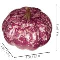 Mini Tök Dekorációs Szett, Őszi és Halloween Dekorációk, Vegyes Színek, 4 cm, 24 Darab | Floristik24.hu