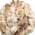 Deco golyós csigaház kagyló deco függő természet Ø12cm