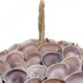 Deco golyós kagylók Kagylódísz akasztáshoz Tengeri dekoráció Ø18cm