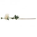 Floristik24 Művirág Dahlia White Művirág bimbóval 57cm