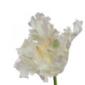 Floristik24 Művirág, papagáj tulipán fehér zöld, tavaszi virág 69cm