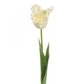 Floristik24 Művirág, papagáj tulipán fehér zöld, tavaszi virág 69cm