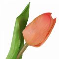 Floristik24 Művirág Tulipán Barack Real Touch tavaszi virág H21cm