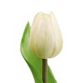 Floristik24 Műtulipán fehér Real Touch tavaszi virág H21cm