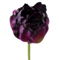Floristik24 Művirág tulipán lila-zöld 84cm - 85cm 3db