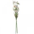 Floristik24 Művirágok Cosmea fehér selyemvirágok H51cm 3db