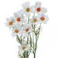 Floristik24 Művirágok Cosmea fehér selyemvirágok H51cm 3db