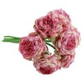 Floristik24 Művirág Dekoráció Műpünkösdi rózsa Rózsaszín Antik 27cm 7db