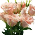 Floristik24 Művirágok Eustoma Lisianthus pink 52cm 5db