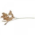 Floristik24 Mesterséges növény őszi dekoráció ág levelei fehérre mosva L70cm