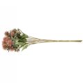 Floristik24 Mesterséges növények pórsáfrány bogáncs ág bogáncs rózsaszín 4db