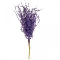 Floristik24 Mesterséges növények lila száraz fű mesterségesen pelyhesített 62cm 3db