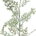 Floristik24 Mesterséges növények ezüstlevél fehér-zöld 40cm 6db