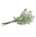 Floristik24 Mesterséges növények ezüstlevél fehér-zöld 40cm 6db