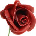 Floristik24 Műrózsák Bordeaux Wax Roses Deco Roses Wax Ø6cm 18db