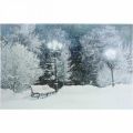 Floristik24 LED kép karácsonyi téli táj parkban pad LED falfestmény 58x38cm