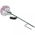 Floristik24 Solar virág, LED kerti dekoráció, dekoratív krizantém rózsaszín L55cm Ø15cm