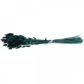 Floristik24 Lagurus szárított nyúlfarkfű sötétzöld 65-70cm 100g