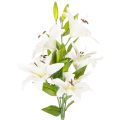 Floristik24 Műliliomok, 6 fehér virág, valósághű virágzó ág, 66 cm