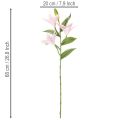 Műliliom virág, szárvirág, dekoráció, 68 cm, 3 darab | Floristik24.hu