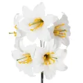 Floristik24 Műliliom virág, fehér, dróton, közepes méret, 35 cm, 5 darab