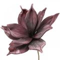 Floristik24 Művirág magnólia lila habvirág Ø10cm 6db