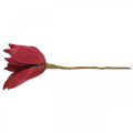 Floristik24 Mesterséges magnólia piros művirághab virágdísz Ø10cm 6db