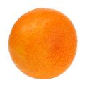 Floristik24 Mandarin Ø7 cm narancs