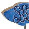 Floristik24 Tengeri dekoratív fahal kék állványon 25cm × 24,5cm