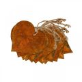 Floristik24 Akasztható szívek őszi fém dekoráció patinás 9,5×10cm 12db