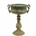 Floristik24 Dekoratív csésze, antik megjelenés, fém, mohazöld, Ø19cm, H35,5cm