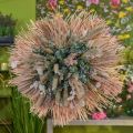 Floristik24 Mini pálma lándzsa, száraz virágok, adventi dekoráció, emléknapok natúr H33-34cm sz7-9cm 4db